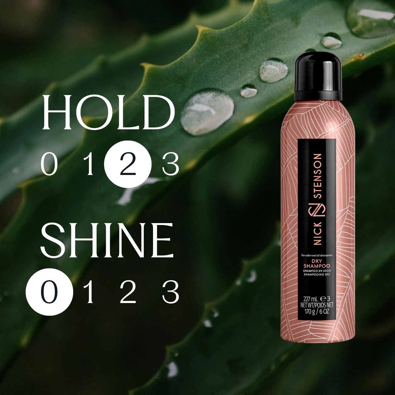 Dry Shampoo Try-Me
